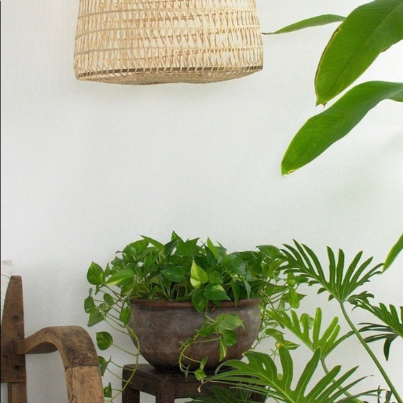 Bamboo pendant lights can be hardwired - Picture 5 of 6